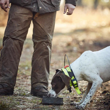 Canvas Dog Bowl